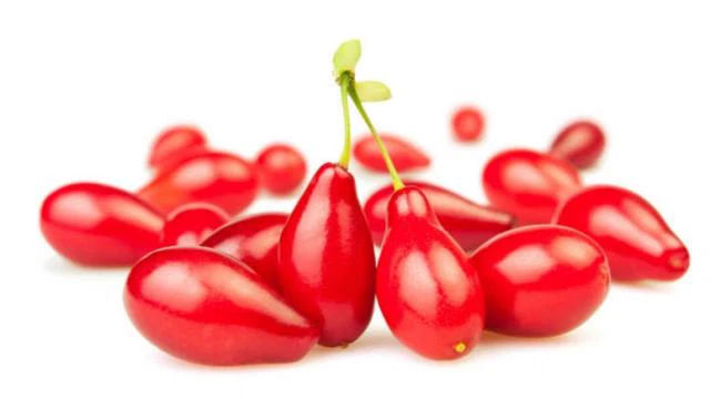 Fructus Corni Extract, Cornus Extract