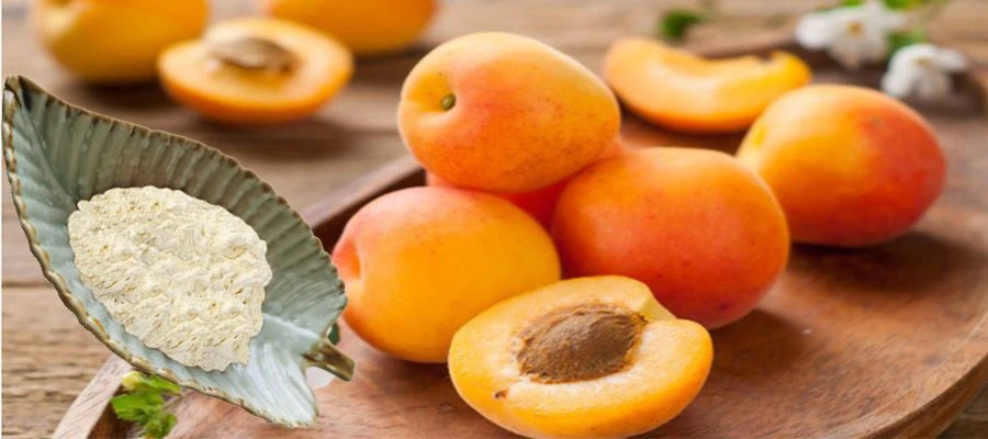 Apricot Juice Powder Apricot Juice Powder
