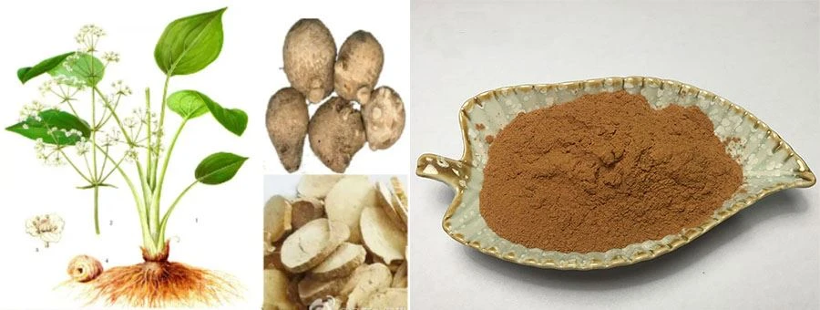 product-900-340 Alisma Extract Powder