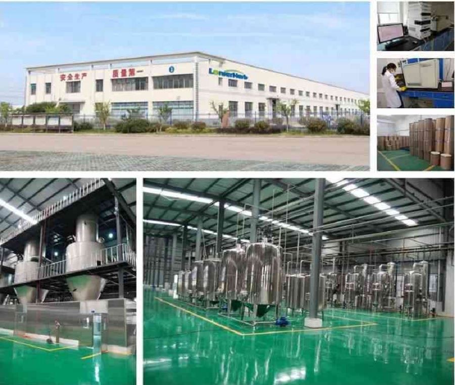 Green Lipped Mussel Extract Powder Factory