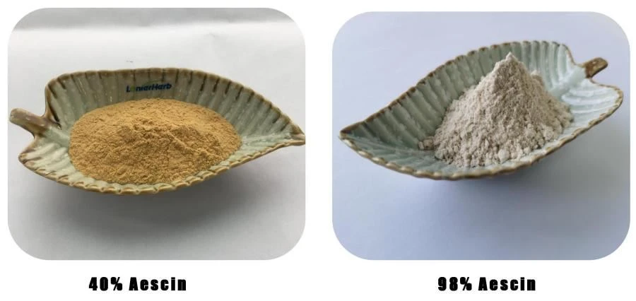 Aescin Powder Manufacturer