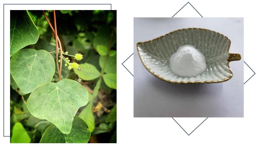 Stephania Japonica Extract,98% Cepharanthin