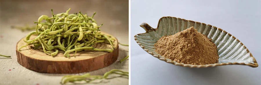 Honeysuckle Flower Extract