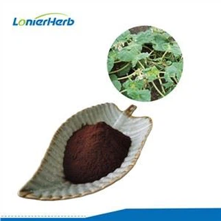 Teufelskrallenwurzelpulver