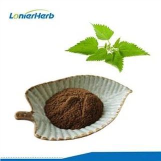 Brennnesselextrakt-Pulver