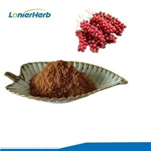 Schisandra-Beeren-Extrakt