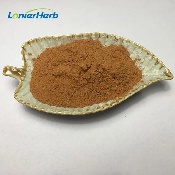 Rhizoma Alismatis Extract Powder