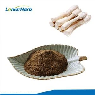 Coprinus Comatus-Extrakt