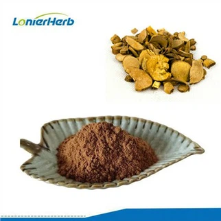 Lindera Aggregata-Extrakt