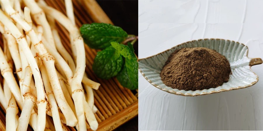 Houttuynia Cordata Extract Powder suppliers Houttuynia Cordata Extract Powder suppliers