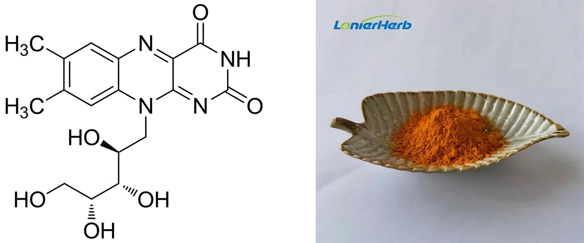 Riboflavin Vitamin B2 Powder Riboflavin Vitamin B2 Powder