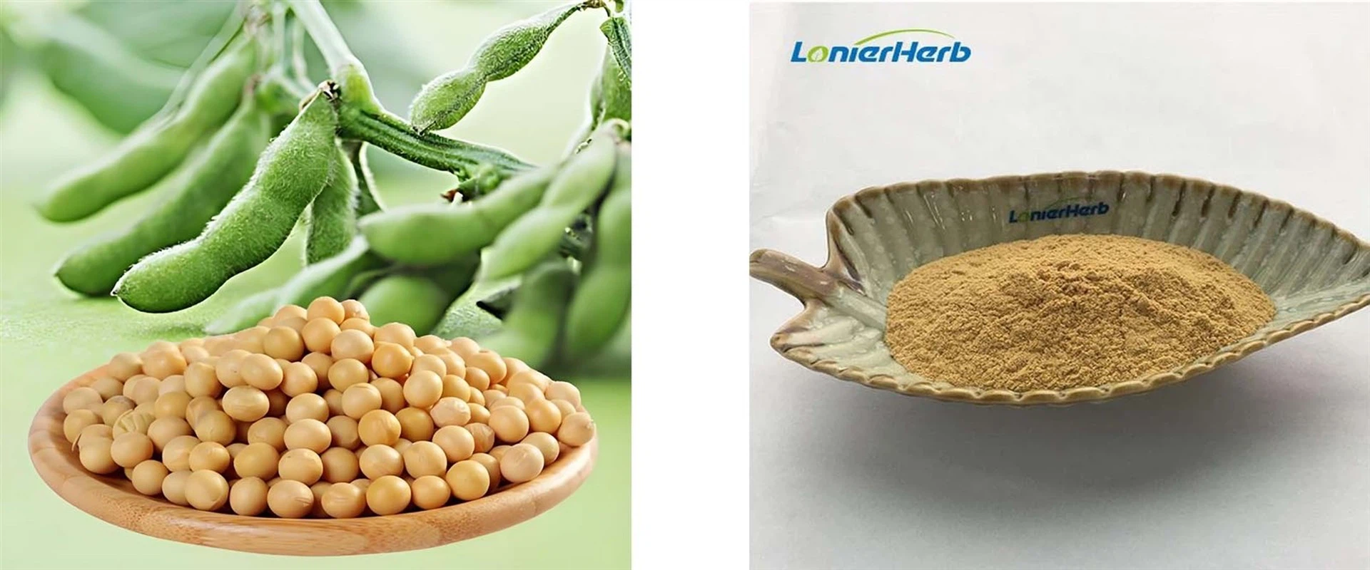 PS Phosphatidylserine PS Phosphatidylserine