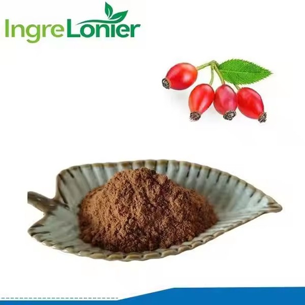 Rosehip Extract Powder Rosehip Extract Powder