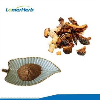 Slipper -Elmenrindenextrakt